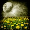 fullmoonrelating.jpg