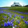 velika_planina01.jpg