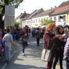 dsc02808_000.jpg