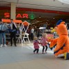 cebelarji__007.jpg