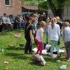 saditev_voscenke020.jpg