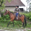_grcevje__04_.jpg