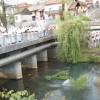 praznik_pomladi___23.jpg