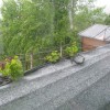 img_6582_000.jpg