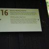 kocevski009.jpg