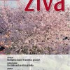 ziva.jpg