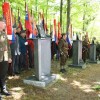 kocevski016.jpg