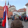 nm_v_zici_05.jpg