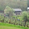 pohod_2016_63.jpg