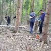 svibno_maj_2016_01.jpg