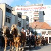 cvickarija041.jpg