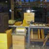 cebelar__004.jpg