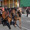 tc2016_001018_000.jpg