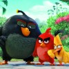 angrybirds.jpg