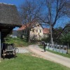 krajinski_park_kolpa_bela_krajina_slovenija_homemade_nature__2_.jpg