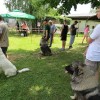 img_6085_11_1_000.jpg
