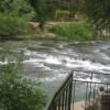 img_3408_000.jpg