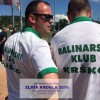 zlata_krogla___27.jpg