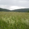 img_3410_000.jpg