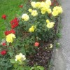 img_3412_000.jpg
