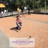 zlata_krogla___39.jpg