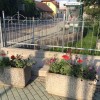 zeleni__005.jpg