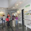 desa__001.jpg