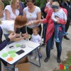 _piknik_004__4_.jpg