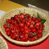 img_0149_000.jpg