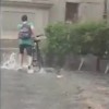 poplave.jpg