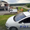 Pes pogrizel 7-letnico in očeta-1