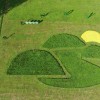 dji_0003.jpg