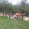 _lciciolimpijada__13_.jpg