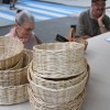 20160618_06773_000.jpg