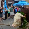 povorka_sob_govedorejsk_odr.jpg