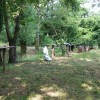 otvoritev_kopalne_sezone_003.jpg