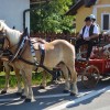 dsc_2305.jpg