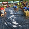 img_7210_35_1_000.jpg
