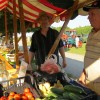 img_7242_44_1_000.jpg