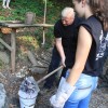 img_8571.jpg