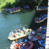 img_8630.jpg
