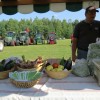 img_7188_22_1_000.jpg