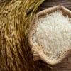 rice.jpg