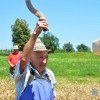 kitni_vrh017.jpg