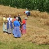 kitni_vrh050.jpg