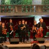 _komorni_godalni_orkester_slovenske_fiharmonije_1__5_.jpg