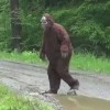 bigfoot4