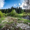 20160426_dsc_1846.jpg