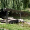 img_1297_000.jpg