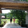 krtinska_deteljica__028.jpg
